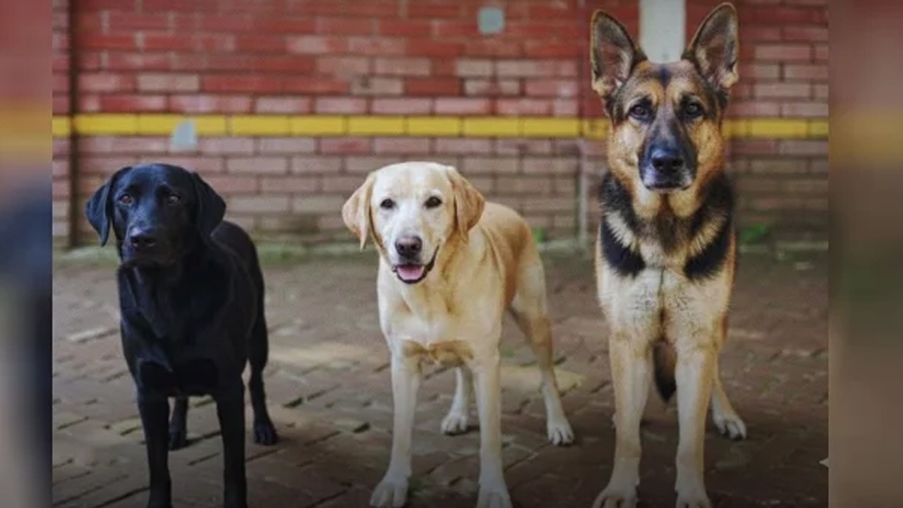 SajibKH/ডিএমপির কাউন্টার.jpg